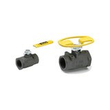 Female Pipe Ends - Panel Mount - Industrial Ball Valves - Carbon Steel